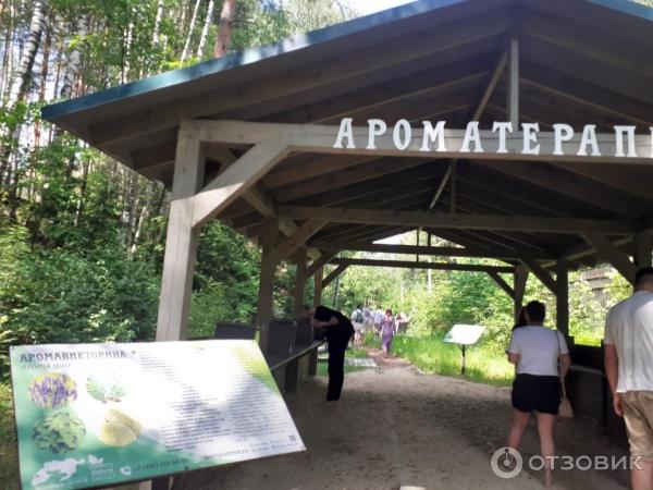 Босоногая тропа москва как добраться на метро. Босоногая тропа Лосиный остров.