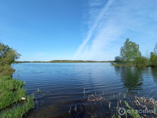 Экотропа Долина реки Выбья и Лужская губа (Россия, Санкт-Петербург) фото