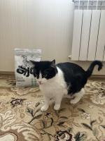 Корм для стерилизованных кошек AJO фото