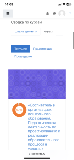 Национальный центральный институт развития дополнительного образования НЦРДО (Россия, Москва) фото