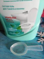 Чистящее средство Grass Dos Gel фото