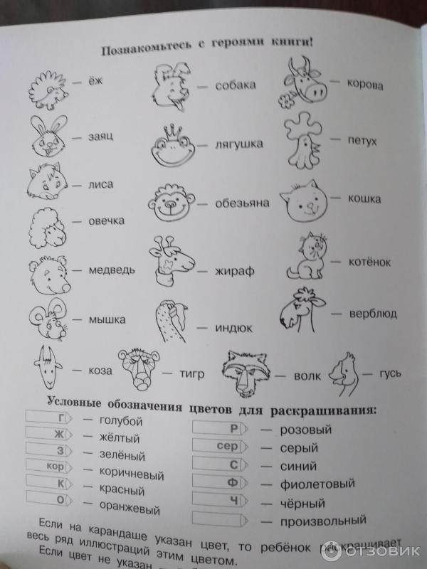 Отзыв о Нейропрописи "Зарядка для мозга" - О.В. Узорова, Е.А. Нефедова ...