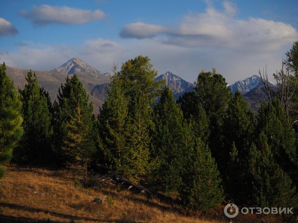 Экскурсия в Улаганский район (Россия, Горный Алтай) фото