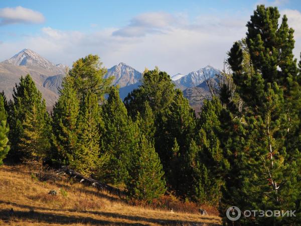 Экскурсия в Улаганский район (Россия, Горный Алтай) фото