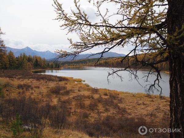 Экскурсия в Улаганский район (Россия, Горный Алтай) фото