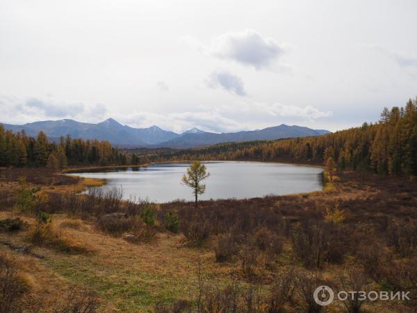 Экскурсия в Улаганский район (Россия, Горный Алтай) фото