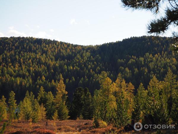 Экскурсия в Улаганский район (Россия, Горный Алтай) фото