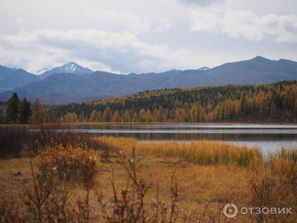 Экскурсия в Улаганский район (Россия, Горный Алтай) фото