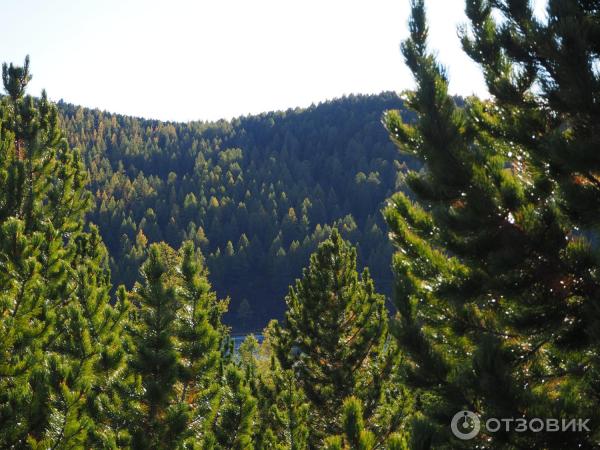 Экскурсия в Улаганский район (Россия, Горный Алтай) фото