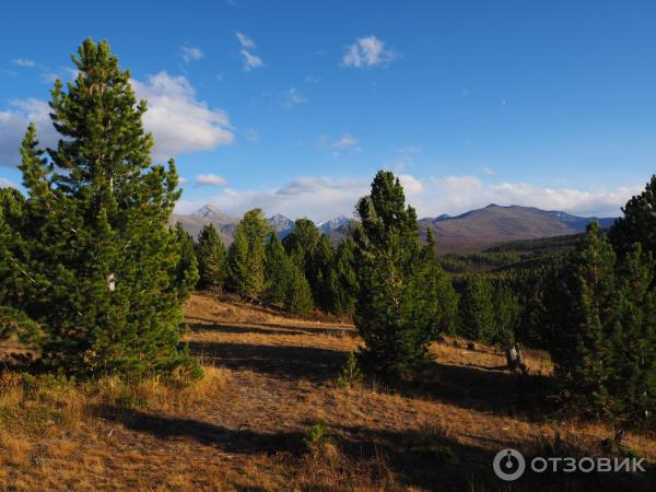 Экскурсия в Улаганский район (Россия, Горный Алтай) фото