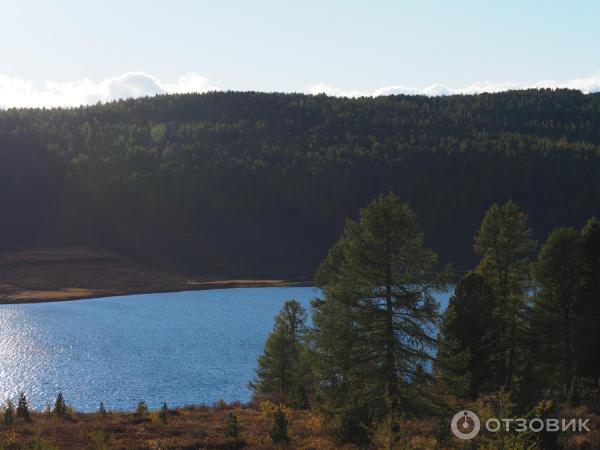 Экскурсия в Улаганский район (Россия, Горный Алтай) фото