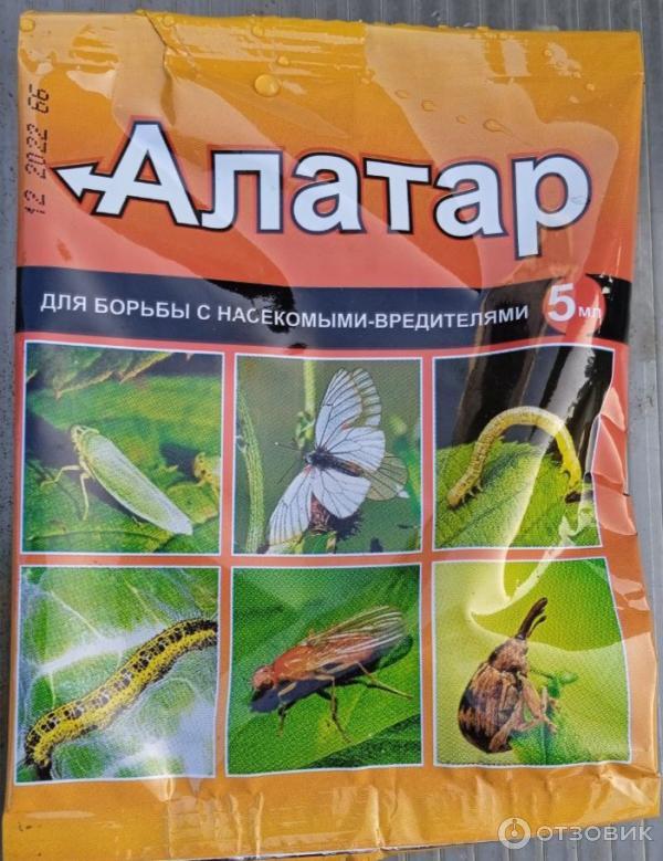 Препарат алатар отзывы. Алатар.