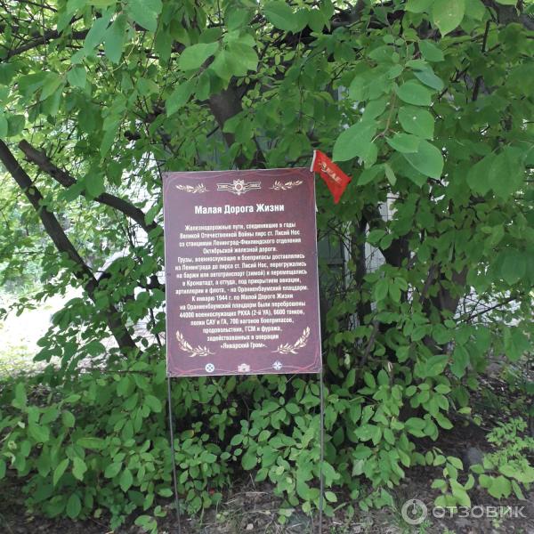 Экотропа лукоморье в лисьем