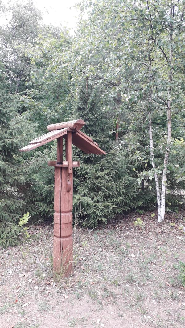 Экотропа лукоморье в лисьем. Экотропа Лукоморье в Лисьем носу. Экотропа у Лукоморья. Эко тропа у Лукоморья в Лисьем носу. Экотропа в городе.