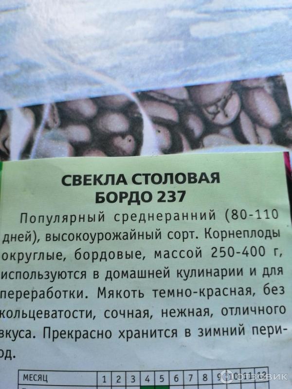 Отзыв о Семена Огородное изобилие "Свекла столовая Бордо 237" | Хороший ...