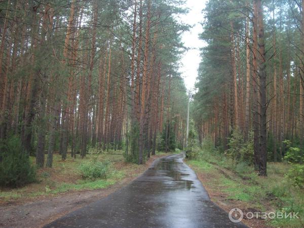 Отдых в республике Марий Эл (Россия) фото