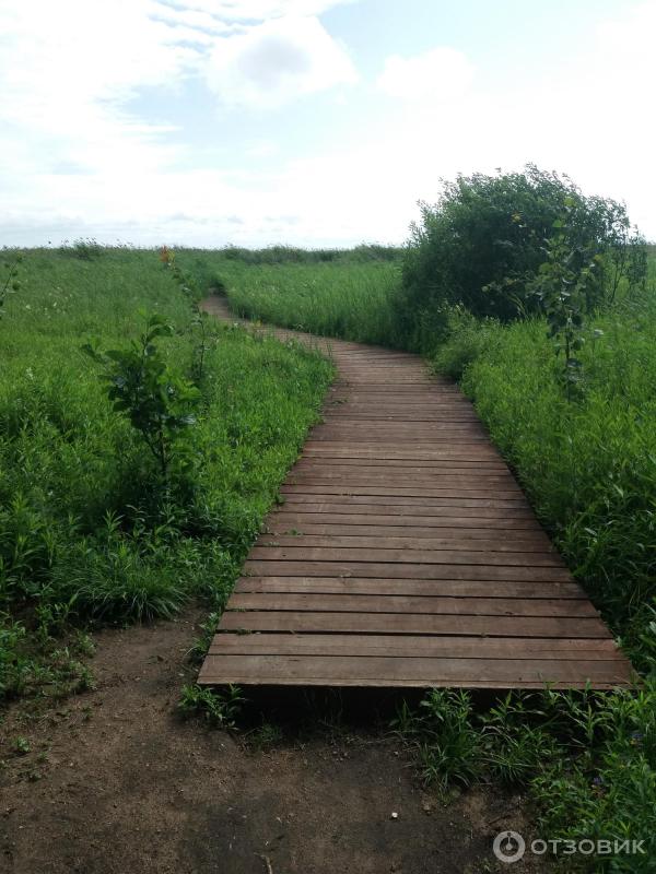 Экотропа лукоморье в лисьем. Экотропа Лукоморье в Лисьем носу. Экотропа. Экотропа СПБ. Экотропа у Лукоморья Санкт-Петербург.