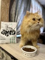Корм для стерилизованных кошек AJO фото