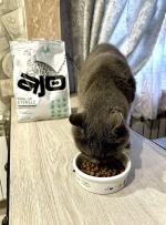 Корм для стерилизованных кошек AJO фото