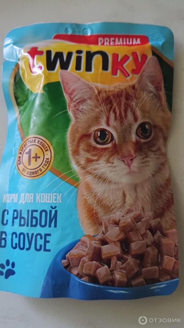 Отзыв о Корм для кошек Twinky | неплохой корм по низкой цене
