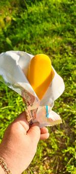 Пломбир ванильный в апельсиновой глазури "Чистая Линия" фото