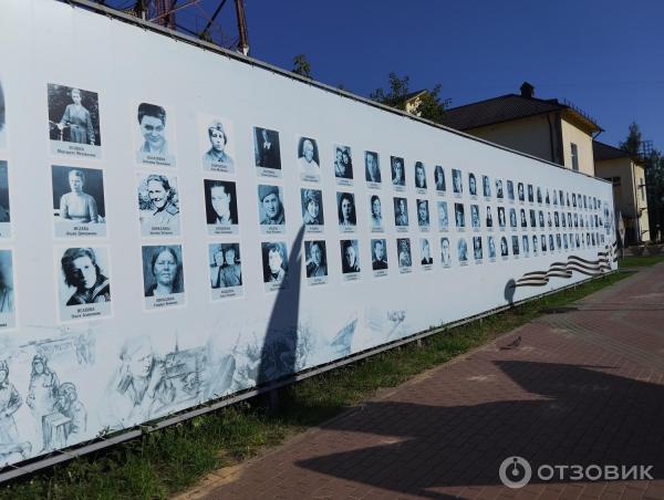 Музей военной техники под открытым небом (Россия, Бор) фото