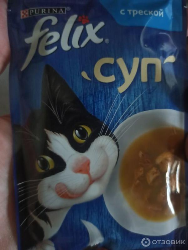 Суп с котом