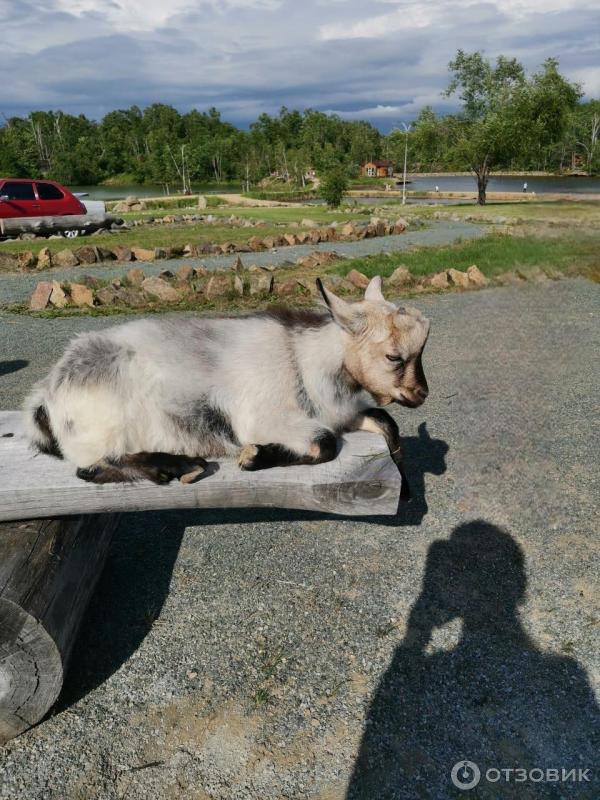 Парк Озера (Россия, Владивосток) фото