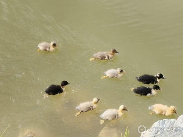 Парк Озера (Россия, Владивосток) фото