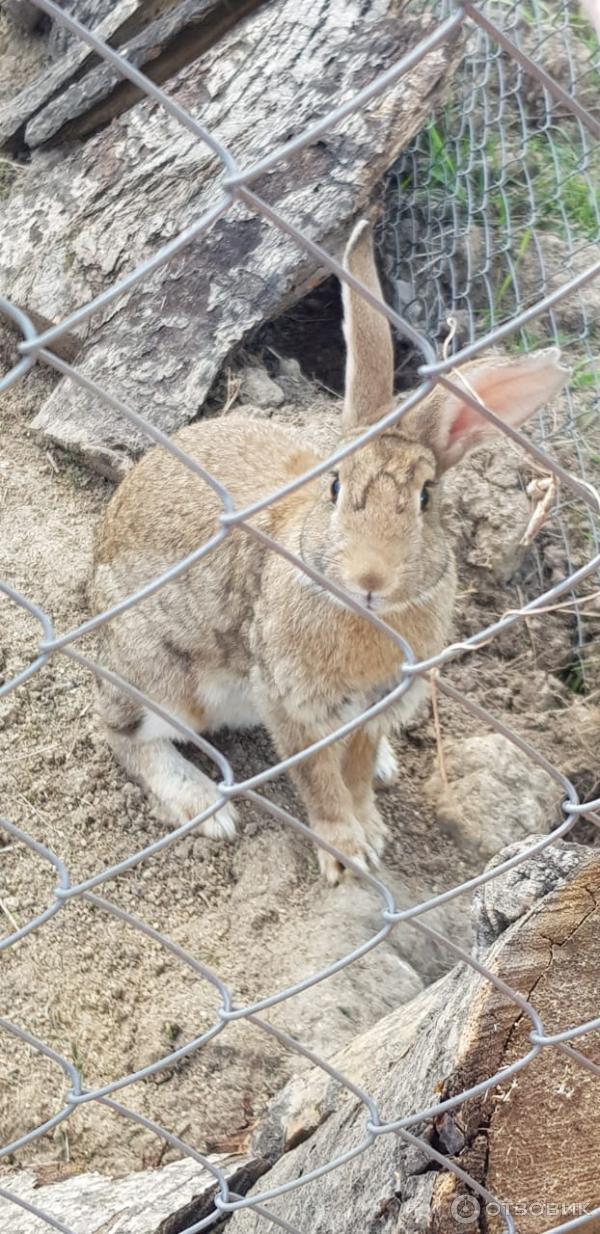 Парк Озера (Россия, Владивосток) фото