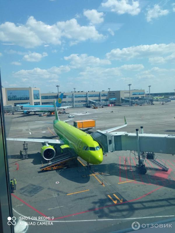 Авиакомпания S7 Airlines фото