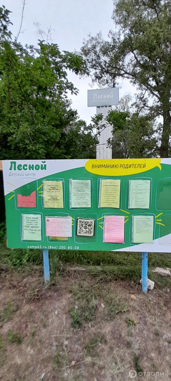 Детский оздоровительный лагерь Лесной (Россия, Самарская область)