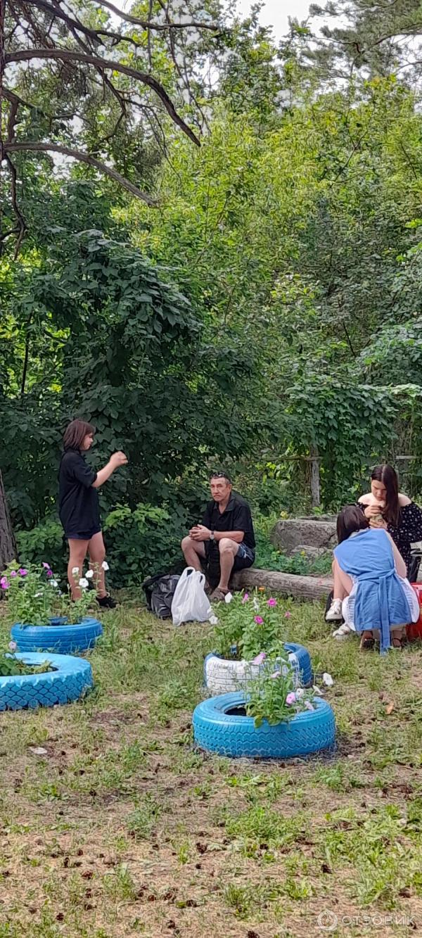 Детский оздоровительный лагерь Лесной (Россия, Самарская область)