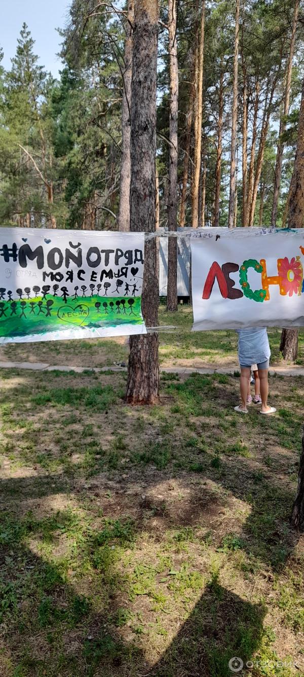 Детский оздоровительный лагерь Лесной (Россия, Самарская область)