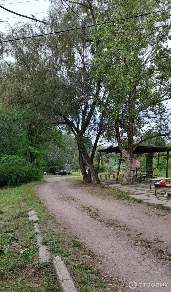 Детский оздоровительный лагерь Лесной (Россия, Самарская область)