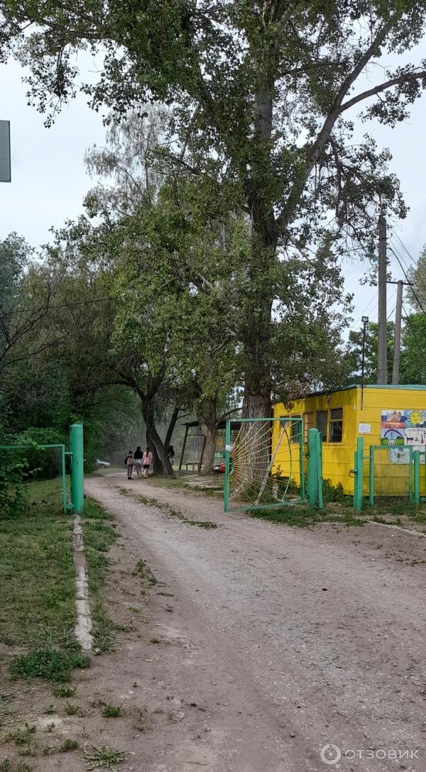 Детский оздоровительный лагерь Лесной (Россия, Самарская область)