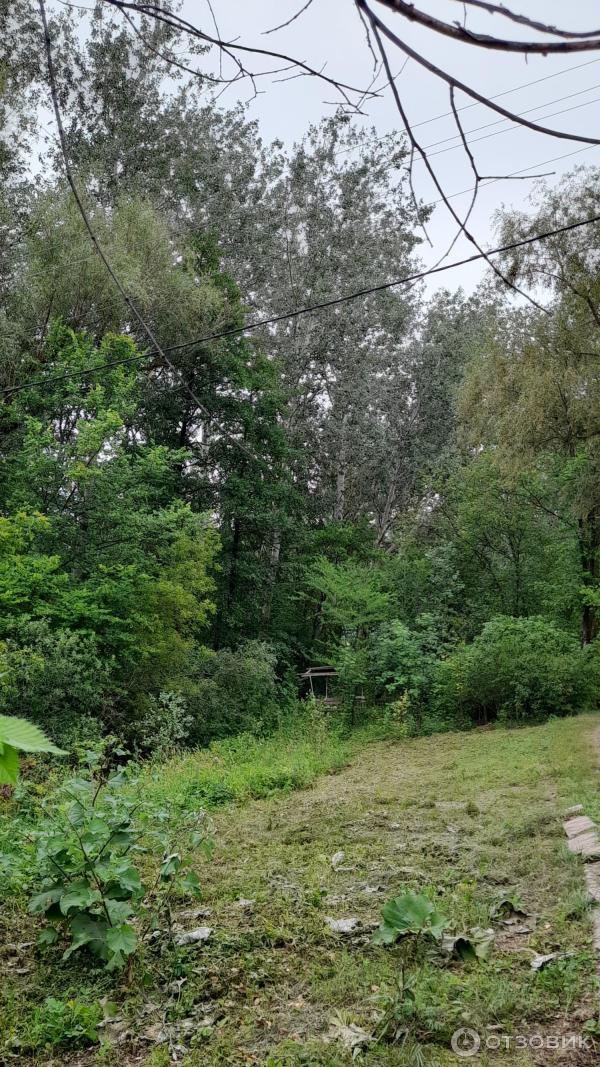 Детский оздоровительный лагерь Лесной (Россия, Самарская область)