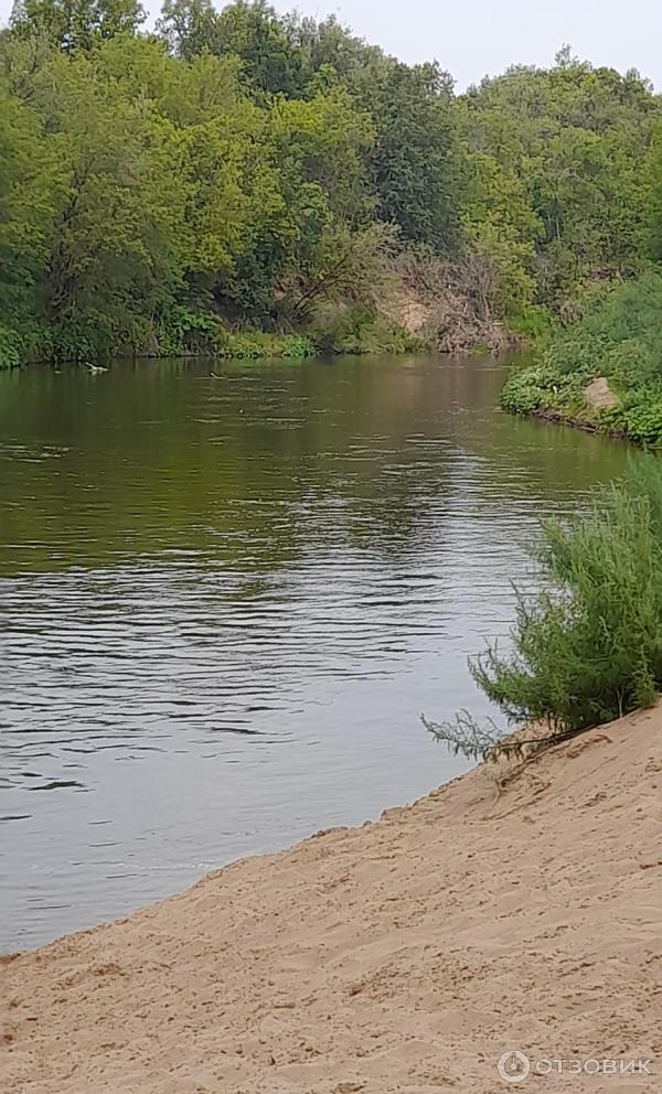 Детский оздоровительный лагерь Лесной (Россия, Самарская область)