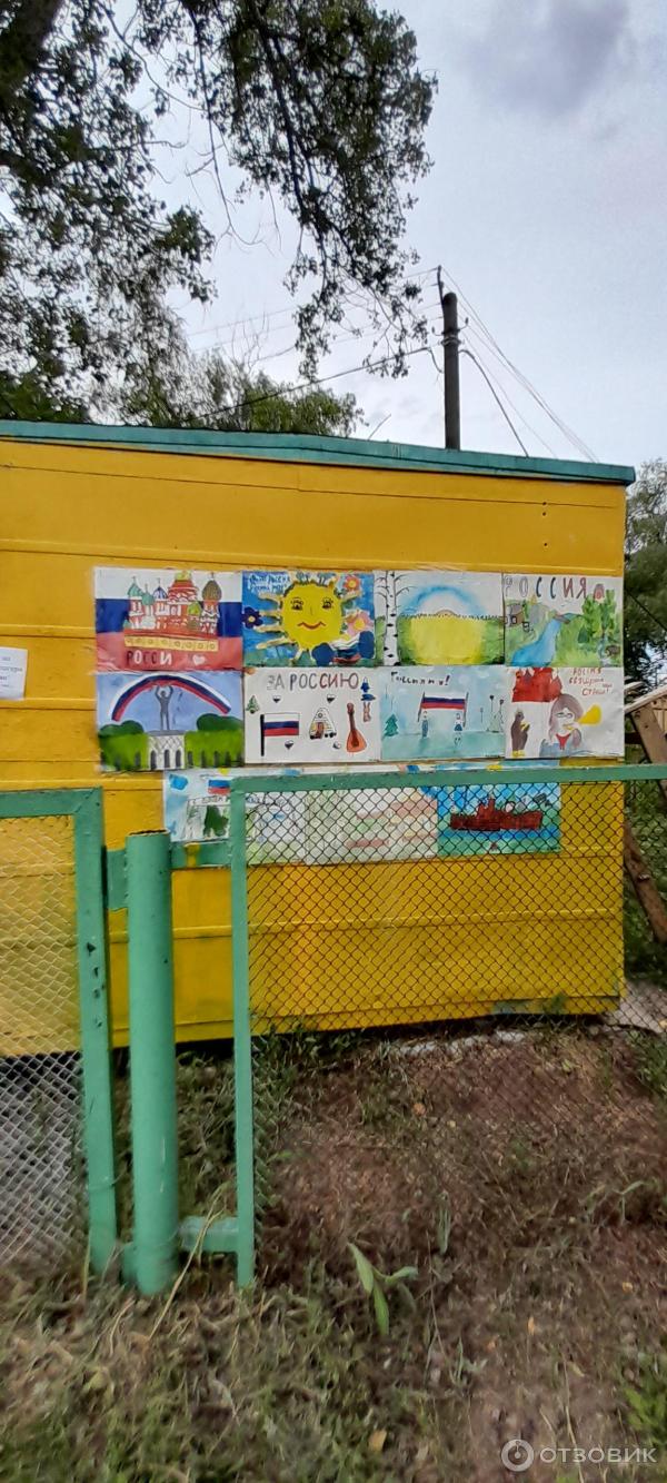 Детский оздоровительный лагерь Лесной (Россия, Самарская область)