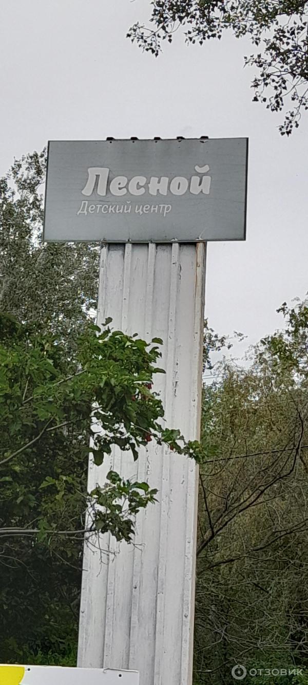 Детский оздоровительный лагерь Лесной (Россия, Самарская область)