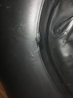 Жидкий ПВХ Латка 24 фото