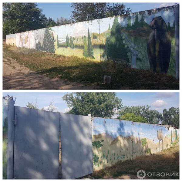 Эко ферма вертячий волгоград. Эко ферма вертячий волгоград