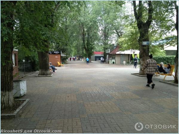 Городской парк культуры и отдыха имени Ленина г. Батайск Ростовской области фото