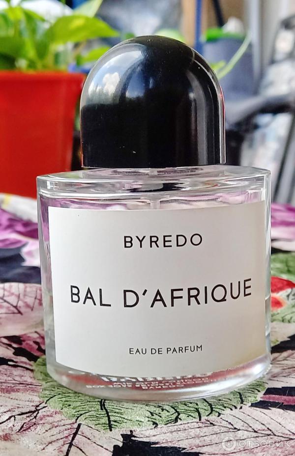 Отзыв о Парфюмерная вода Byredo Bal d'Afrique | Духи говорят о ...