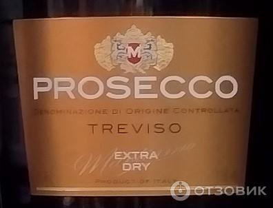 Вино игристое белое сухое Martiamo Prosecco Treviso Extra Dry фото