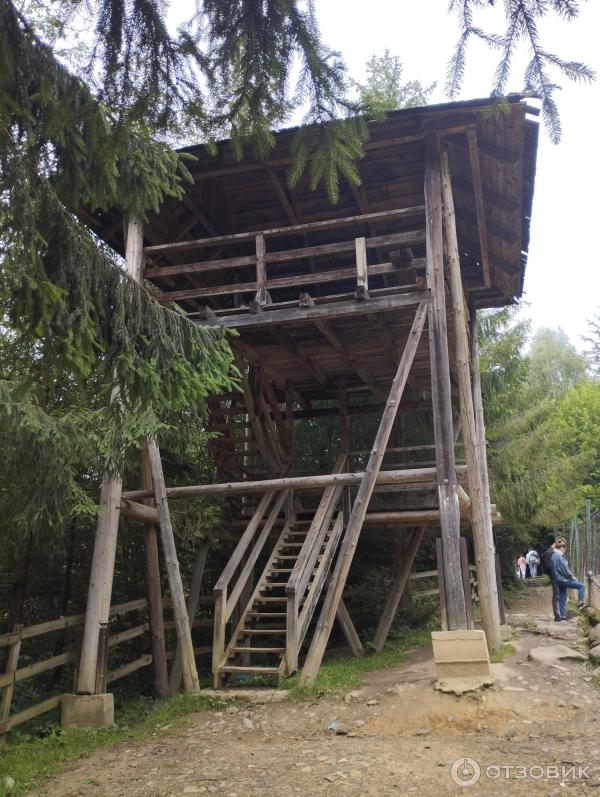 Вольерное хозяйство Карпатского НПП (Украина, Яремче) фото