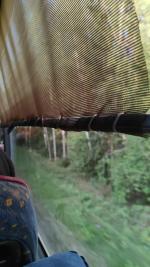 Компания "Intercars Europe" (Россия) фото