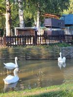 Парк отель "Звенигород" (Россия, Звенигород) фото