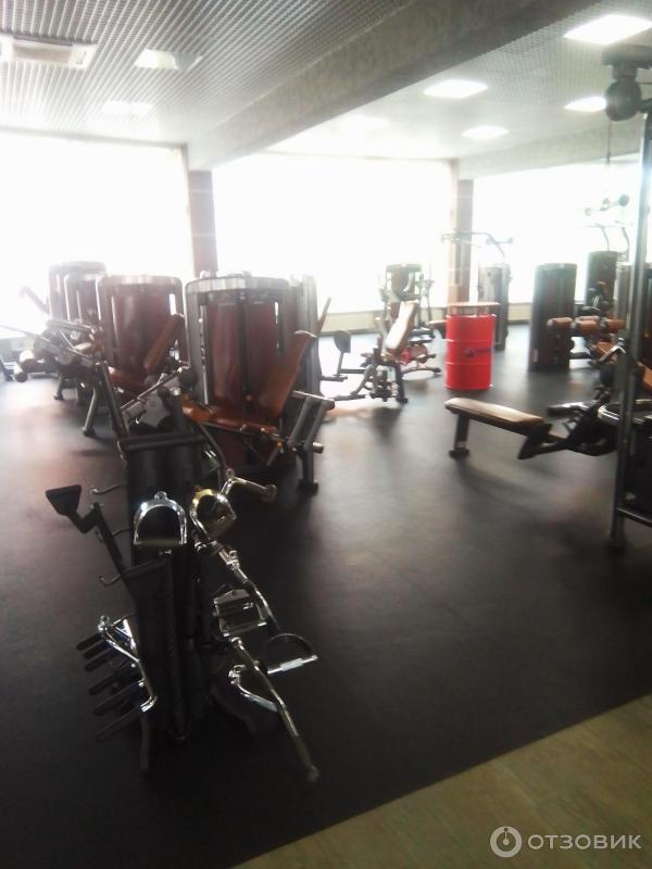 Dynatrope Dynamic Dev. Lab ������: ����.