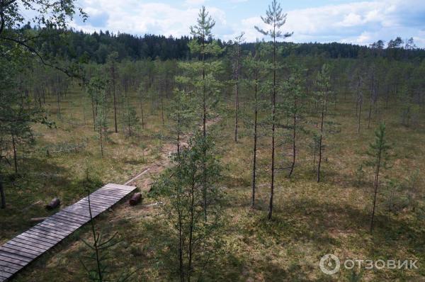 Национальный парк Валдайский (Россия, Новгородская область) фото